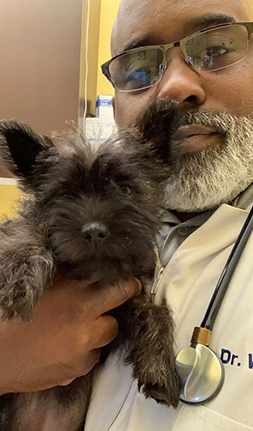 dr draper holding dog patient